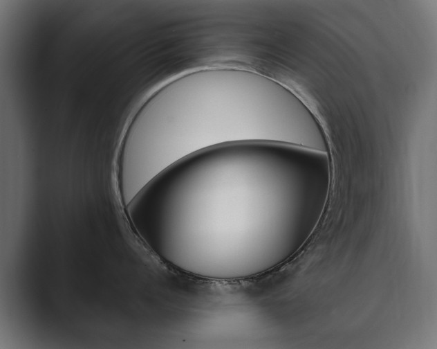 X0000089900960200706281132