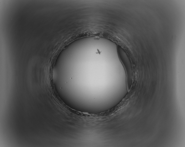 X0000089900961200706281132