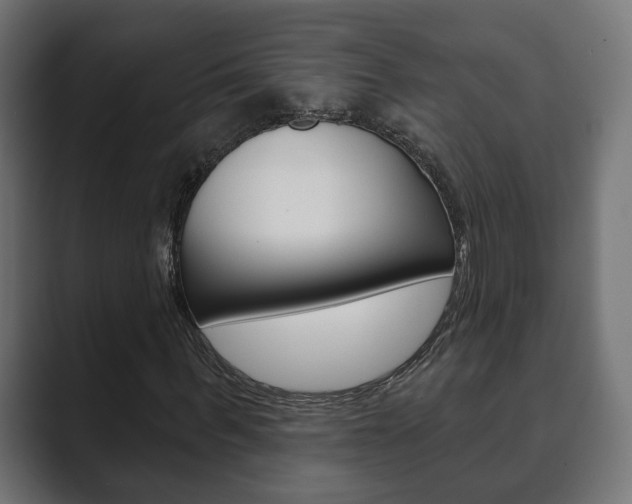 X0000089900963200706281132