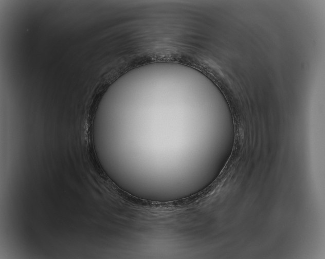 X0000089900964200706281132