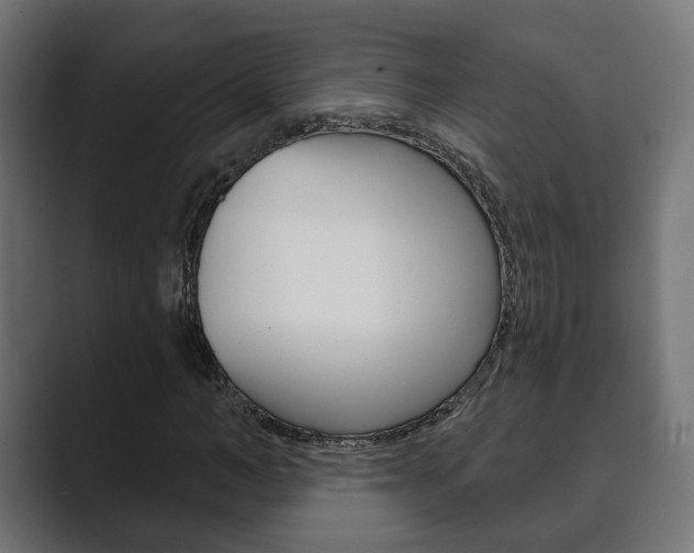 X0000089900966200706281132