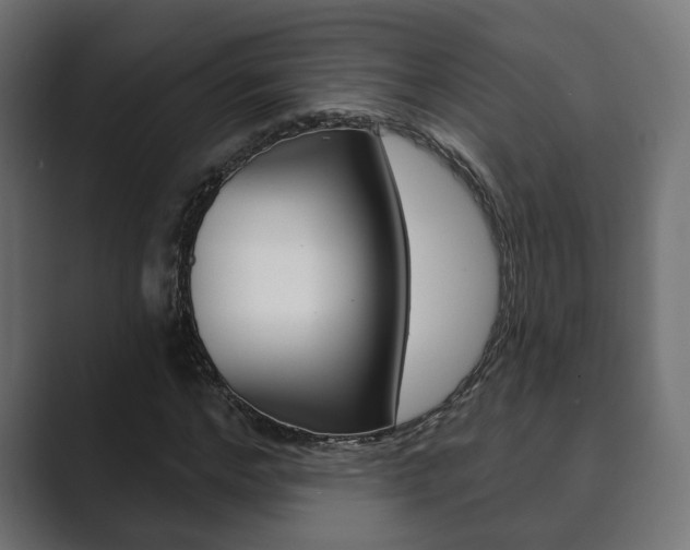 X0000089900968200706281132