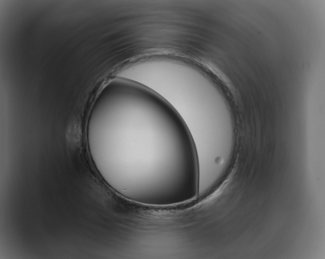 X0000089900969200706281132