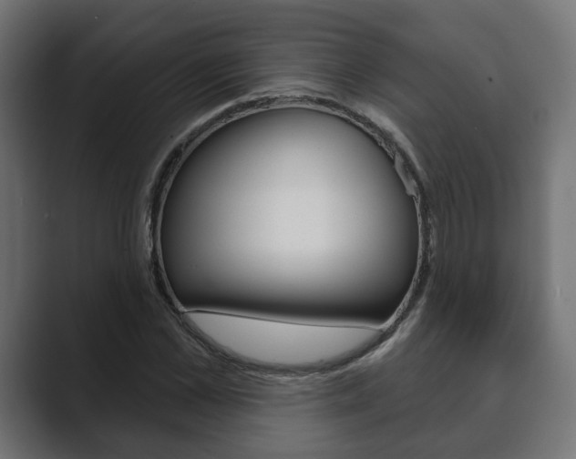 X0000089900973200706281132