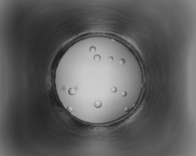 X0000089900974200706281132
