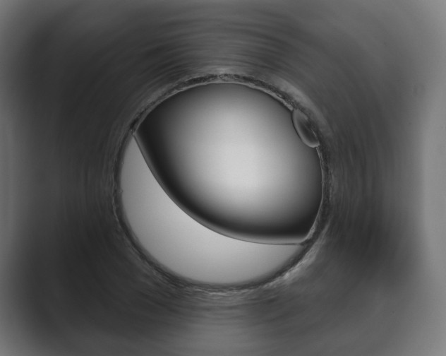 X0000089900977200706281132