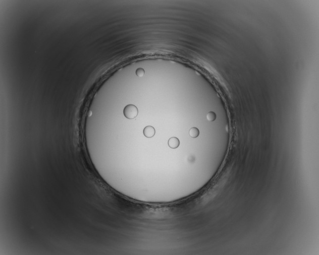 X0000089900978200706281132