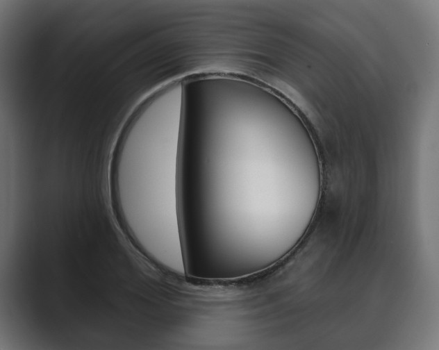 X0000089900980200706281132