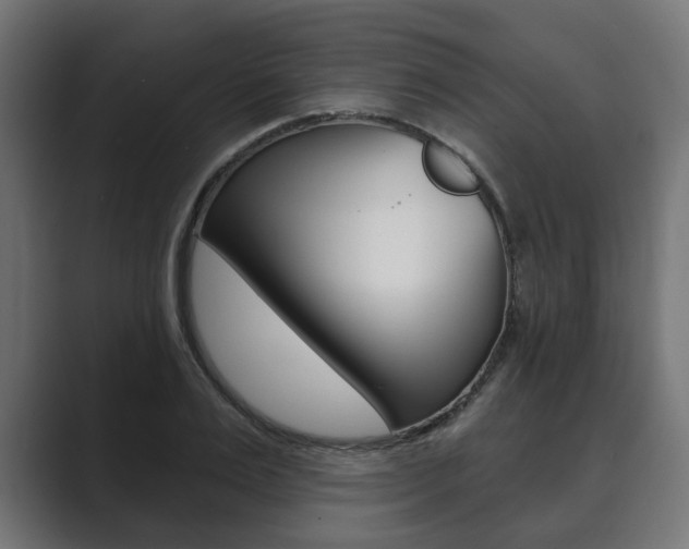 X0000089900983200706281132
