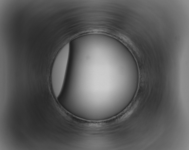 X0000089900985200706281132