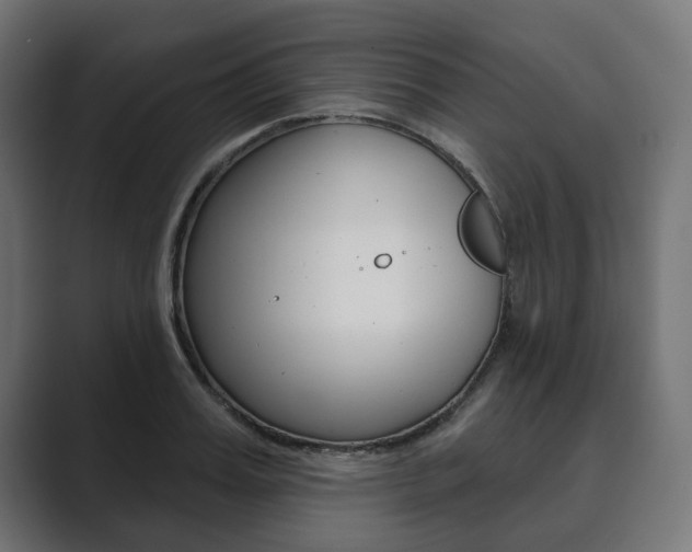 X0000089900987200706281132