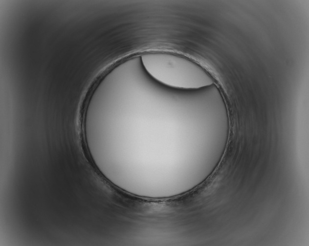 X0000089900990200706281132