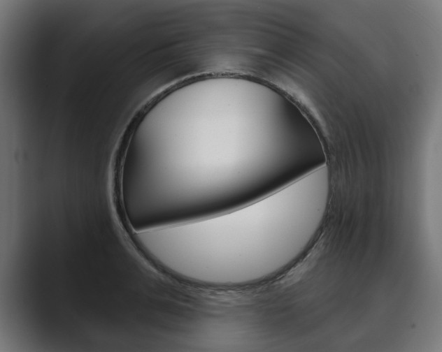 X0000089900991200706281132