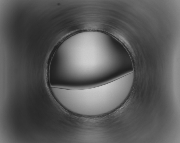 X0000089900992200706281132