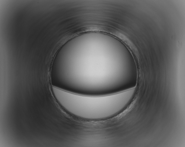 X0000089900993200706281132