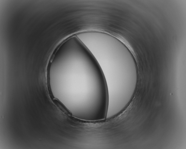 X0000089900996200706281132