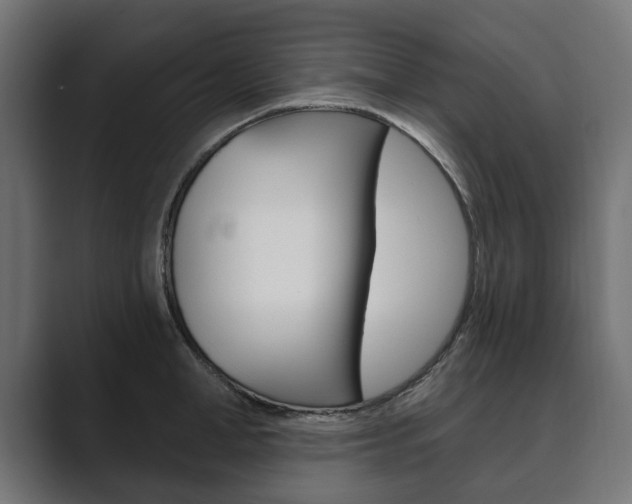 X0000089900998200706281131