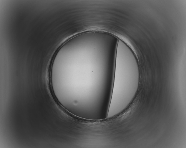 X0000089900999200706281131
