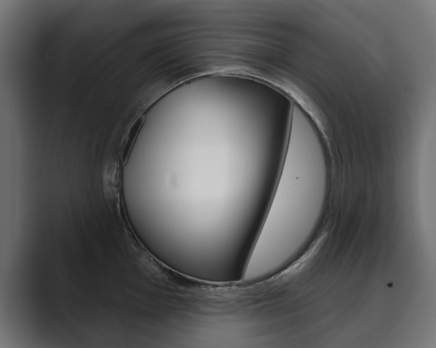 X0000089901001200706281131