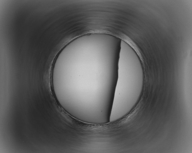 X0000089901002200706281131