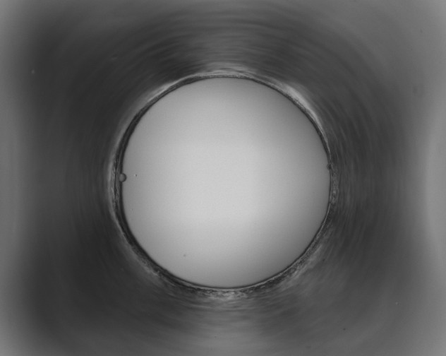 X0000089901003200706281131