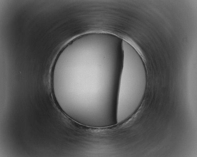 X0000089901004200706281131