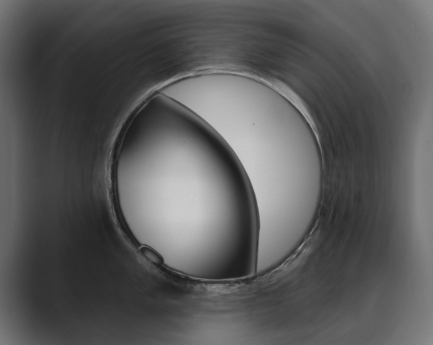 X0000089901005200706281131