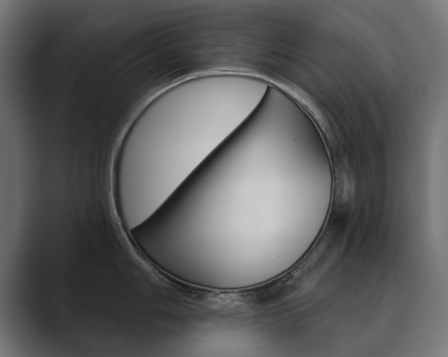 X0000089901006200706281131