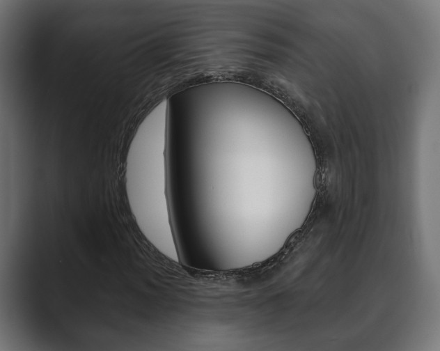 X0000089901012200706281131