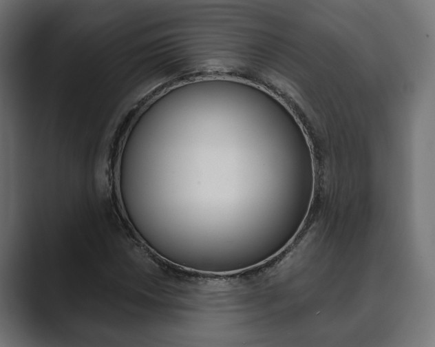 X0000089901018200706281131