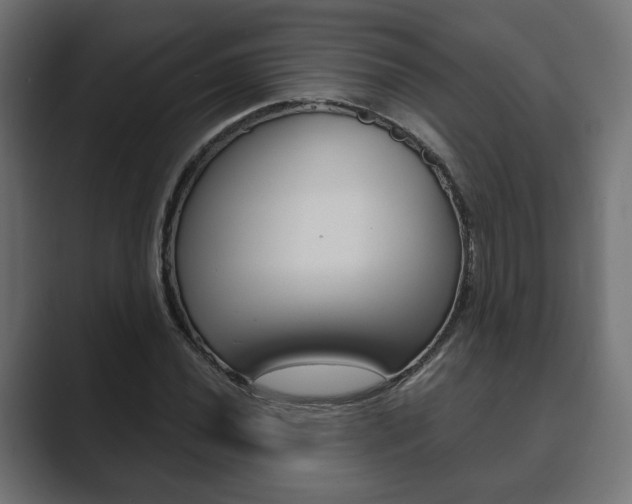 X0000089901020200706281131