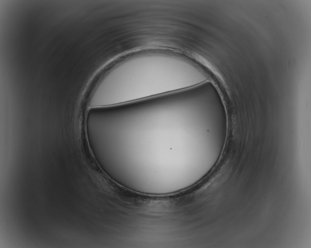 X0000089901021200706281131