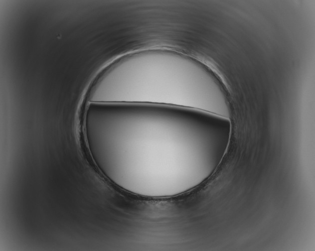 X0000089901024200706281131
