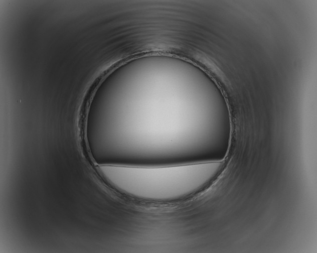 X0000089901026200706281131