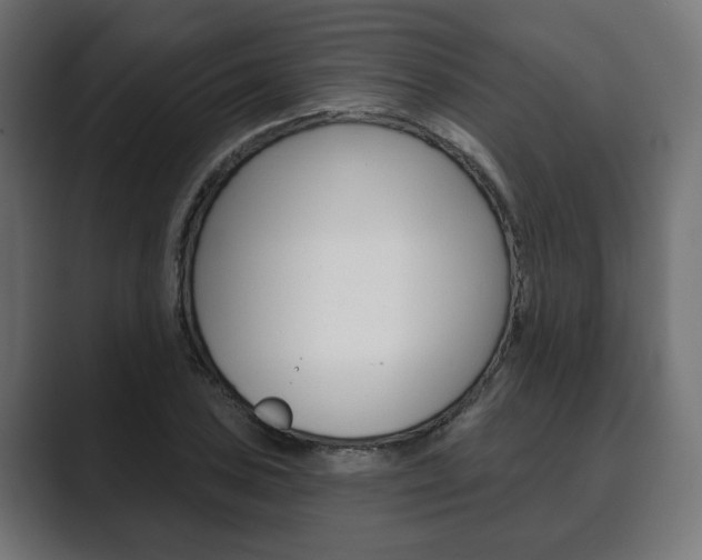 X0000089901027200706281131