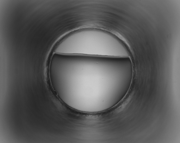 X0000089901029200706281131