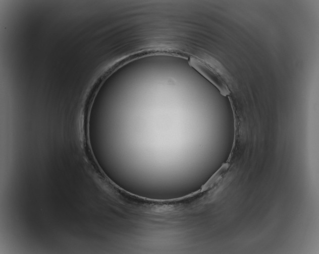 X0000089901030200706281131