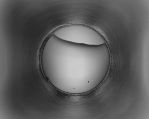X0000089901031200706281131