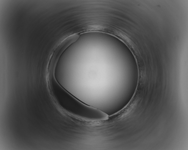 X0000089901034200706281131