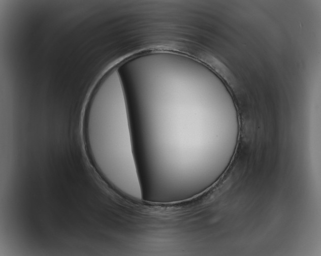X0000089901036200706281131