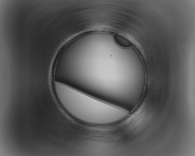 X0000089901037200706281131