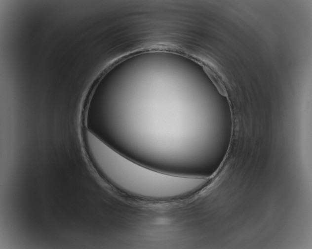X0000089901038200706281131