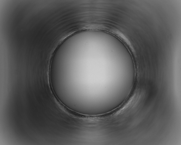 X0000089901041200706281131
