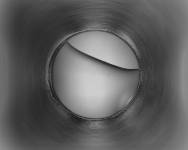 X0000089901043200706281131