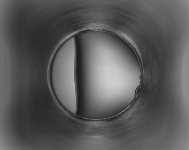 X0000089901045200706281131