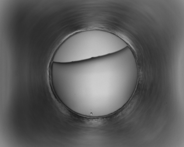 X0000089901047200706281131