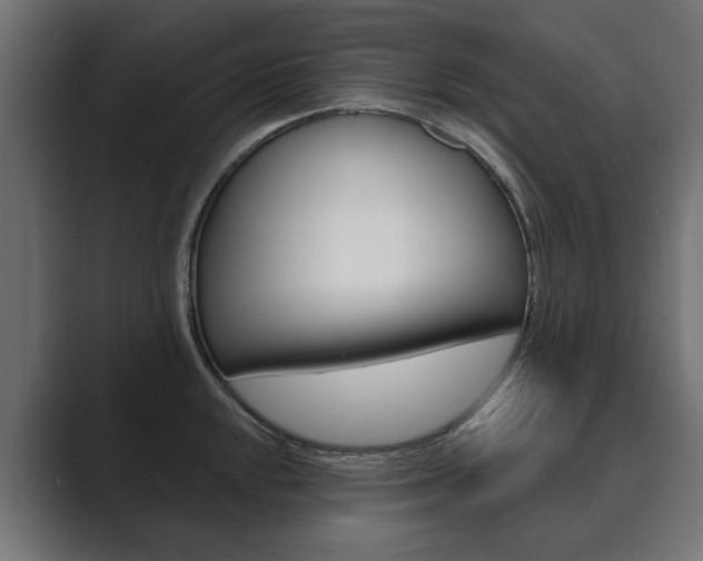X0000089901048200706281131