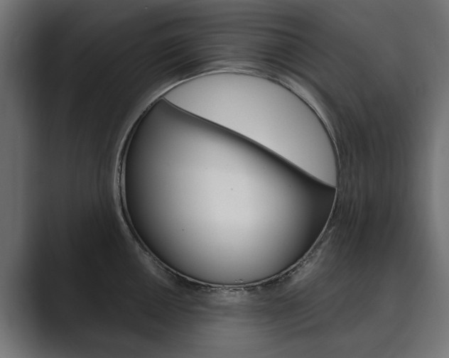X0000089901050200706281131