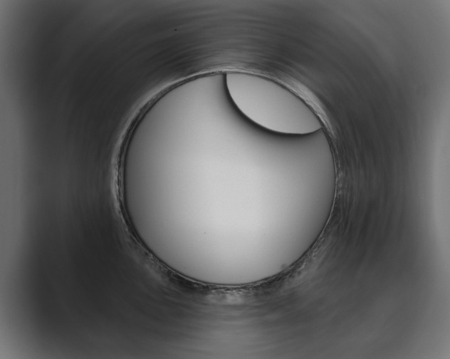 X0000089901051200706281131