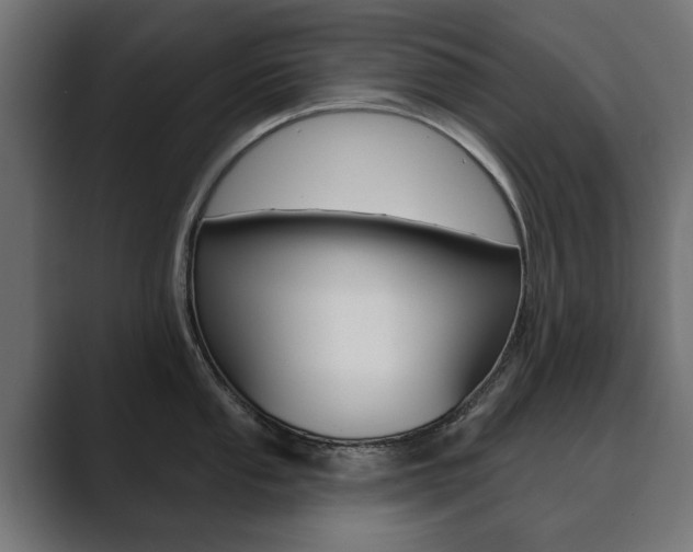 X0000089901053200706281131